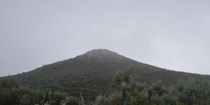 DSC_0056